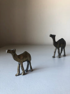 1930s Brass Camels