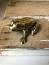 Load image into Gallery viewer, Antique Brass Frog Vesta