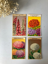Load image into Gallery viewer, Set of Four Original French Flower Seed Labels, Foxgloves
