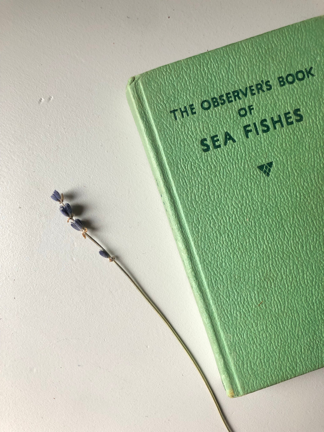 Observer Book of Sea Fishes