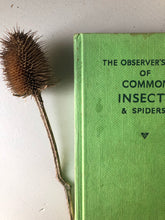 Load image into Gallery viewer, Vintage Observer Book of Insects