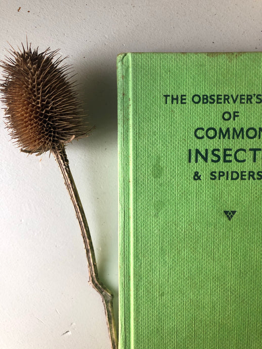 Vintage Observer Book of Insects