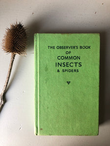 Vintage Observer Book of Insects