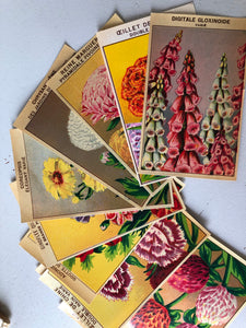 Set of Four Original French Flower Seed Labels, Foxgloves