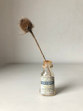 Load image into Gallery viewer, French Antique Medicine Bottle