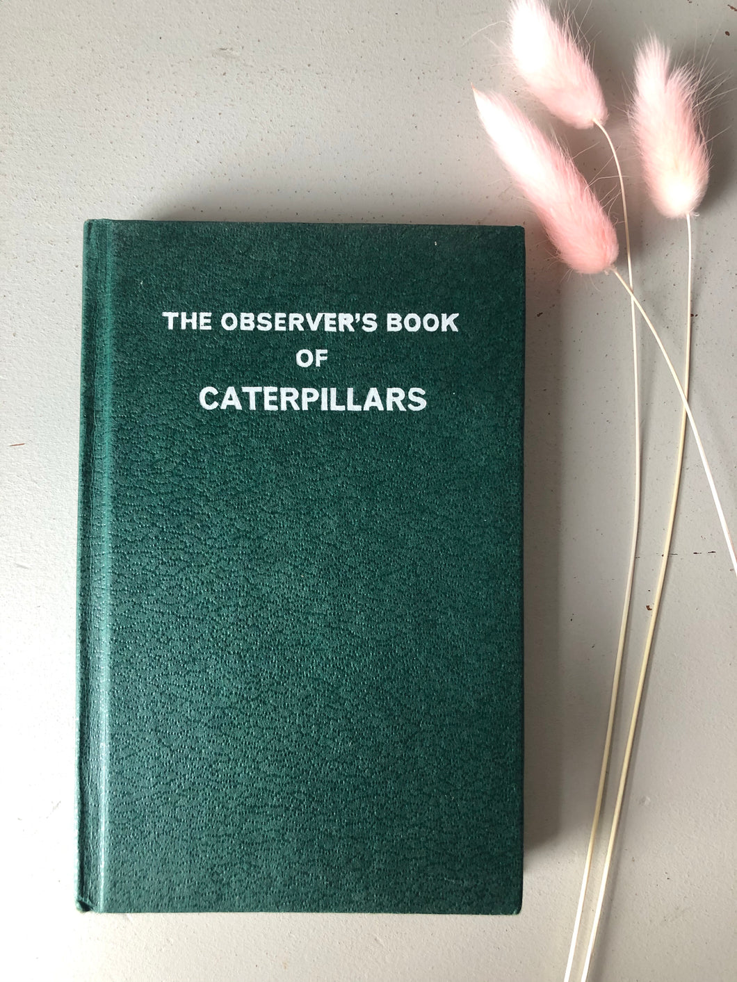 Observer book of Caterpillars
