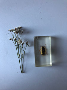 NEW - Vintage Yellow Beetle Resin Block