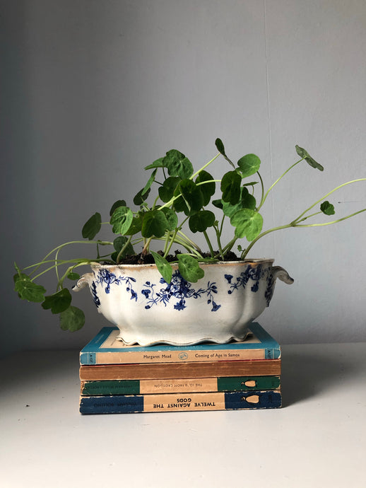 Early 19th Century Tureen