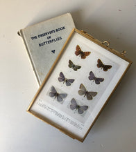 Load image into Gallery viewer, Framed 1920&#39;s Butterfly Bookplate, Holly-Blue