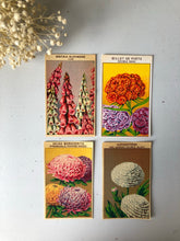 Load image into Gallery viewer, Set of Four Original French Flower Seed Labels, Foxgloves