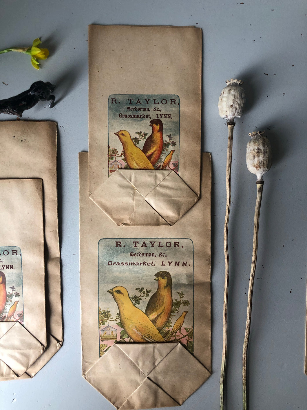 Pair of Vintage Bird Seed Packets