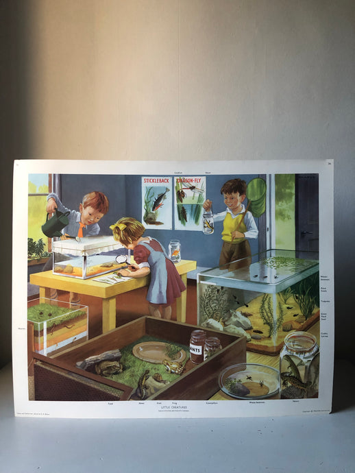 Original 1950s School Poster, ‘Little Creatures'