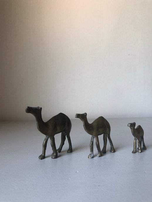 1930s Brass Camels