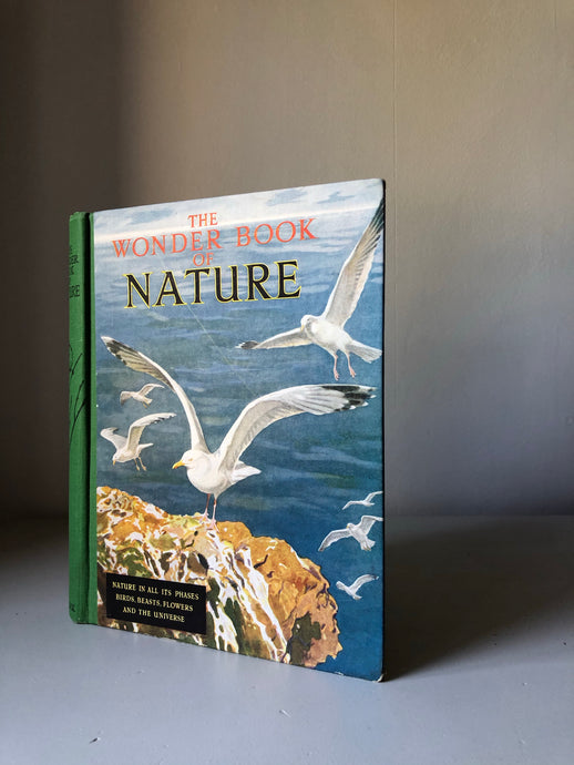 Vintage ‘The Wonder Book of Nature’