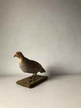 Load image into Gallery viewer, Vintage French Partridge