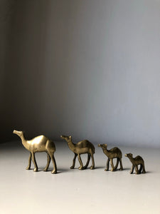Set of 1930s Brass camels