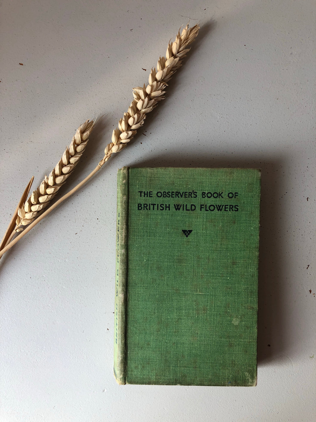 1930s Observer Book of British Wild Flowers