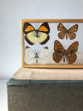 Load image into Gallery viewer, Vintage Butterfly Resin Block