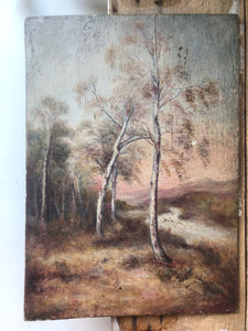 Antique Woodland Oil Painting on Board