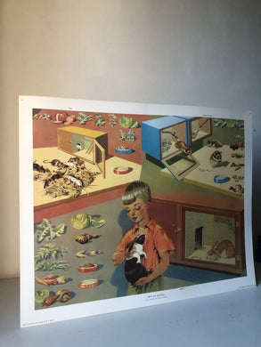 Original 1950s School Poster, ‘Pets at School'