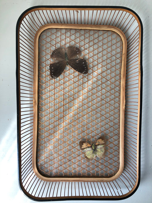 Vintage Butterfly Bamboo Tray