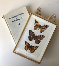 Load image into Gallery viewer, NEW - Framed 1920&#39;s Butterfly Bookplate, Peacock
