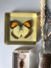 Load image into Gallery viewer, Vintage Butterfly Paperweight