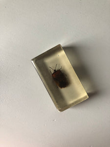 Vintage Bug Resin Block