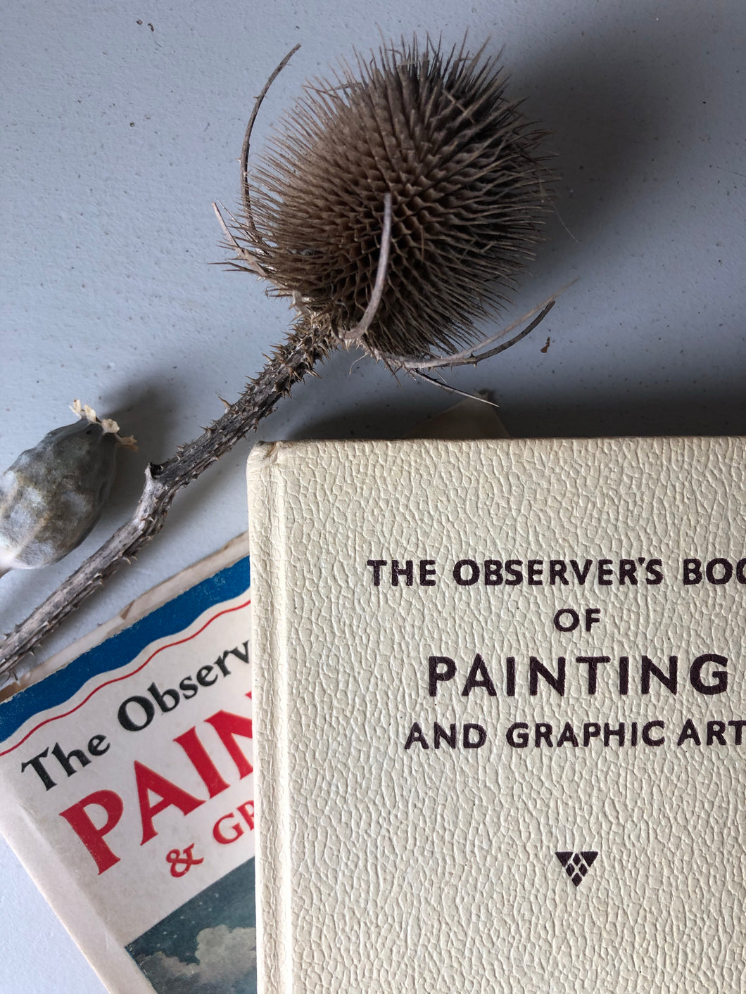 Early edition Observer book of Painting