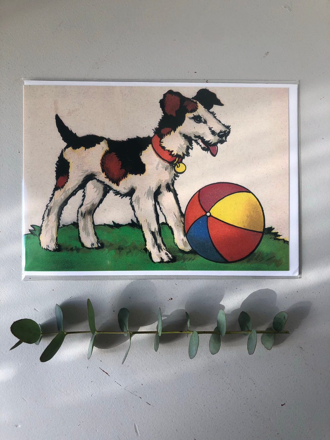 Vintage Dog with Ball Card