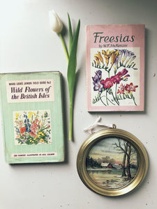Vintage ‘Freesias’ book with Illustrated cover