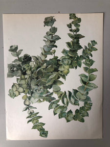 Vintage Succulent Print