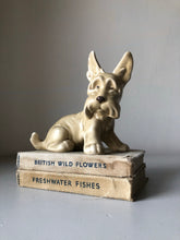 Load image into Gallery viewer, Vintage Sylvac Scottie Dog
