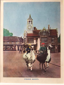 1940s Bookplate, Llama Ride
