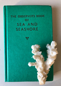 Observer book of Sea and Seashore