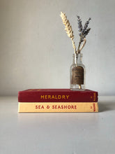 Load image into Gallery viewer, Observer Book of Sea and Seashore
