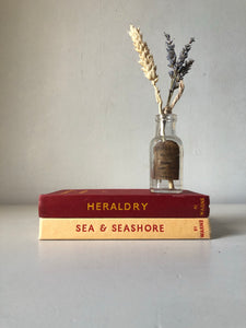 Observer Book of Sea and Seashore