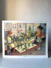 Load image into Gallery viewer, Original 1950s School Poster, ‘Nature Display&#39;