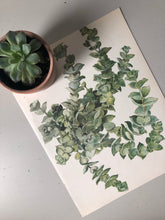 Load image into Gallery viewer, Vintage Succulent Print