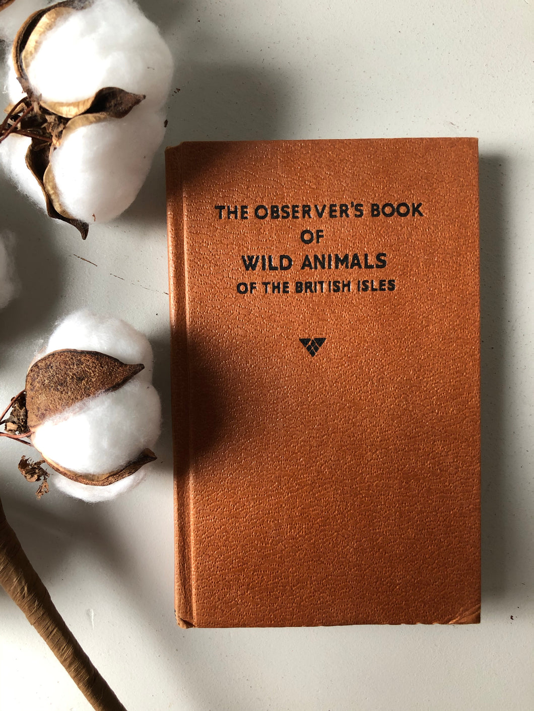 Observer Book of Wild Animals of The British Isles