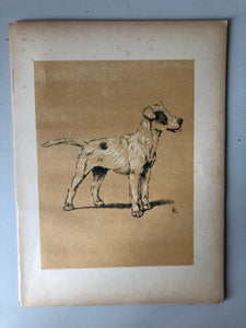 Cecil Aldin Dog Bookplate