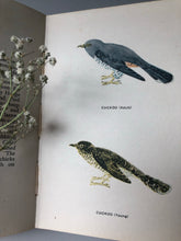 Load image into Gallery viewer, Vintage ‘Bird Book for the Pocket’