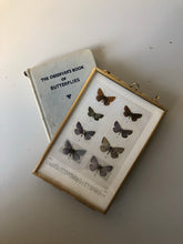 Load image into Gallery viewer, Framed 1920&#39;s Butterfly Bookplate, Holly-Blue