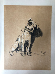 Original Cecil Aldin Dog Bookplate, Collar