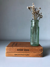 Load image into Gallery viewer, Pair of Observer Books, Architecture and Birds Eggs