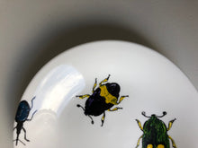 Load image into Gallery viewer, Hand Painted Bug Dish