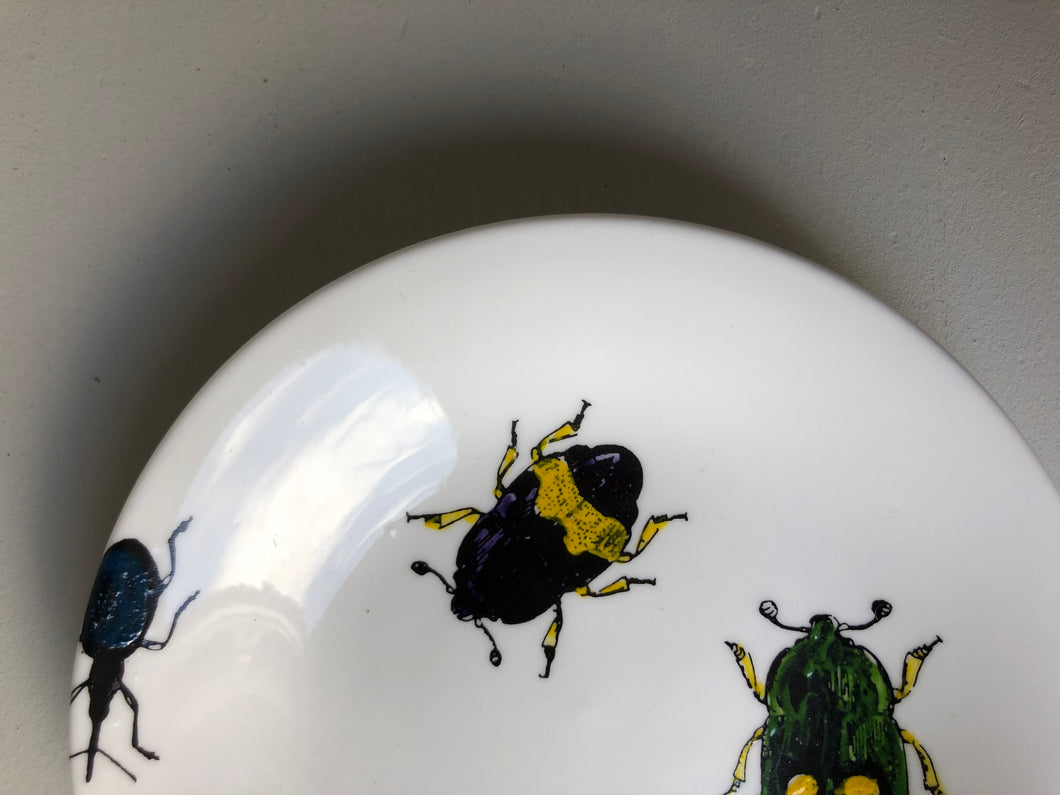 Hand Painted Bug Dish