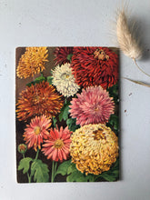 Load image into Gallery viewer, 1950s Gardening booklet, Chrysanthemums
