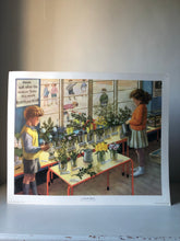 Load image into Gallery viewer, Original 1950s School Poster, ‘Nature Display&#39;