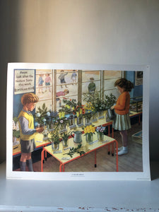 Original 1950s School Poster, ‘Nature Display'